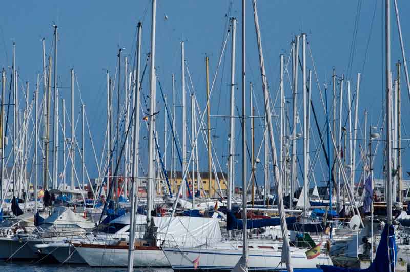 Mallorca - Palma 117 - puerto deportivo.jpg
